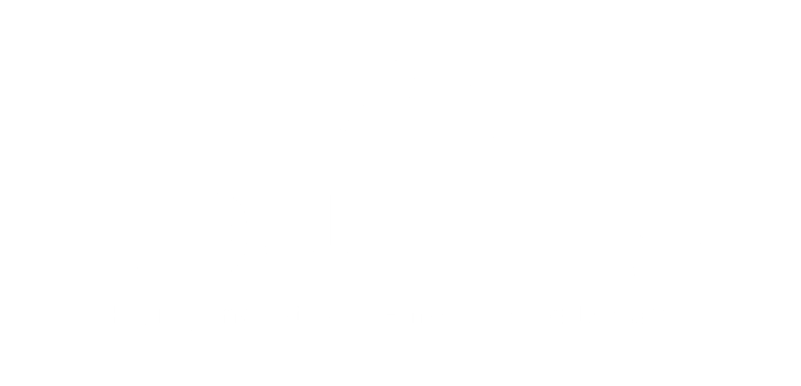 Logo on colored@300x
